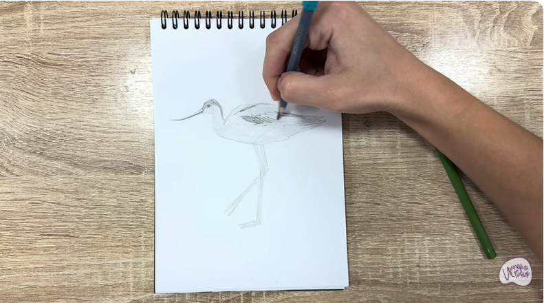 Рисуем Шилоклювка