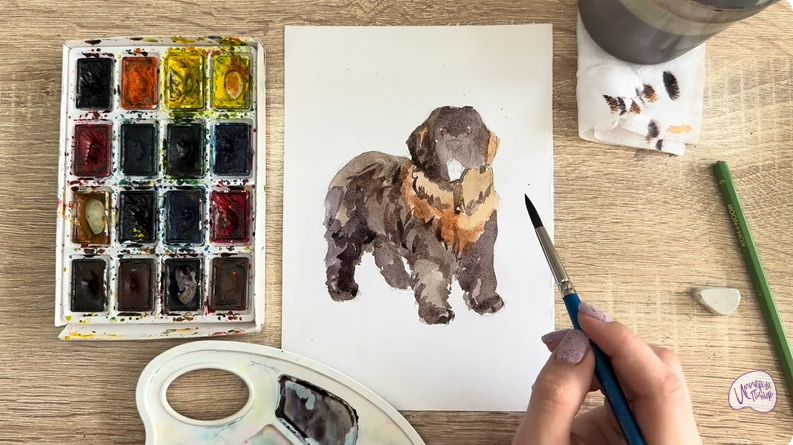 Рисуем Собака породы Ньюфаундленд