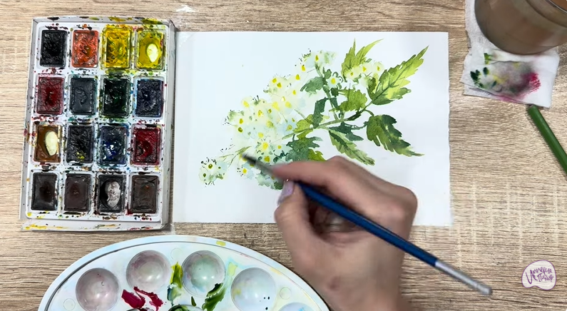 Рисуем Таволга