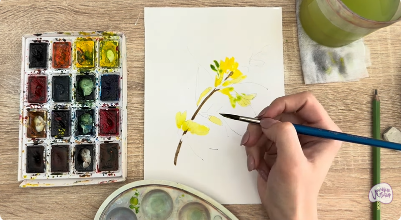 Рисуем Ветка караганы