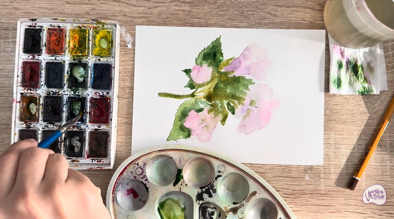 Рисуем Алтей лекарственный