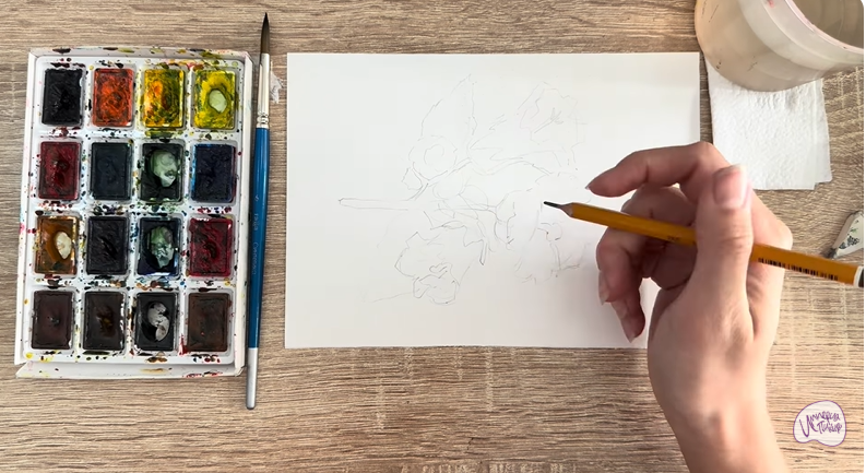 Рисуем Алтей лекарственный