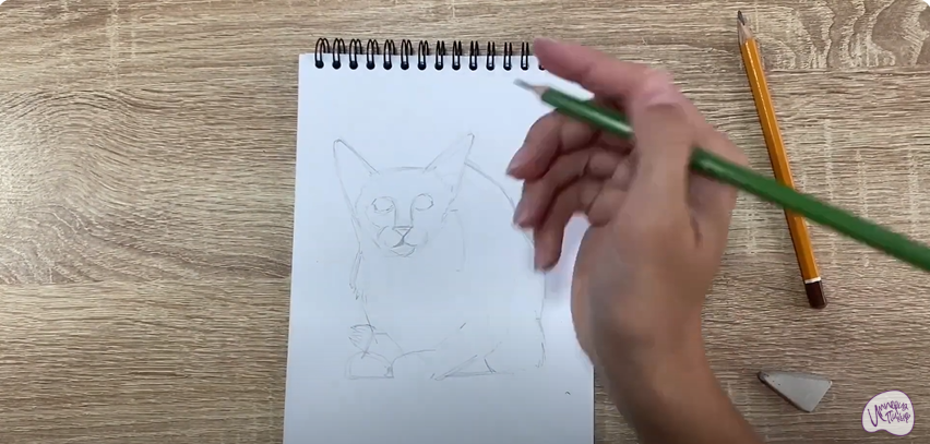 Рисуем Балинезийская кошка