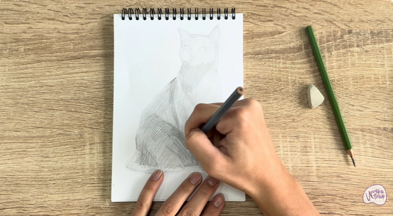 Рисуем Бурманский кот