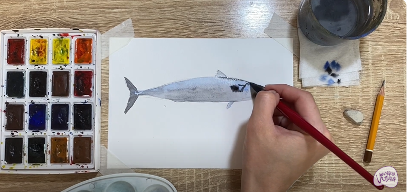 Рисуем Скумбрия