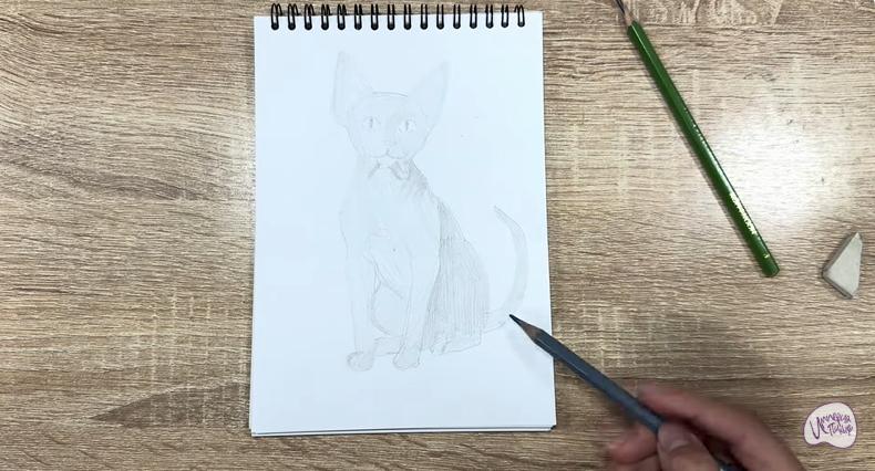 Рисуем Девон Рекс