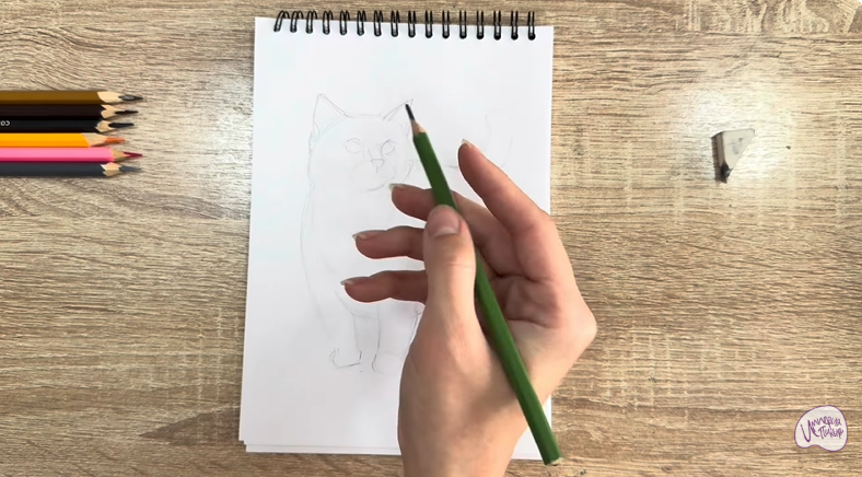 Рисуем Кошка породы "Манчкин"