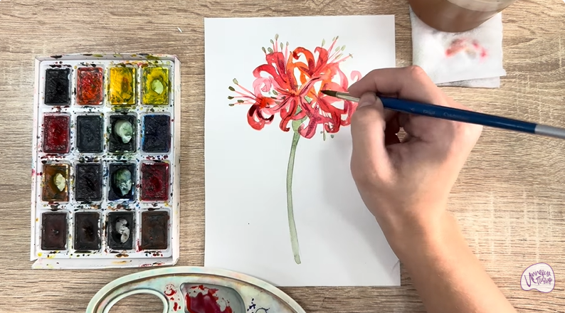 Рисуем Ликорис