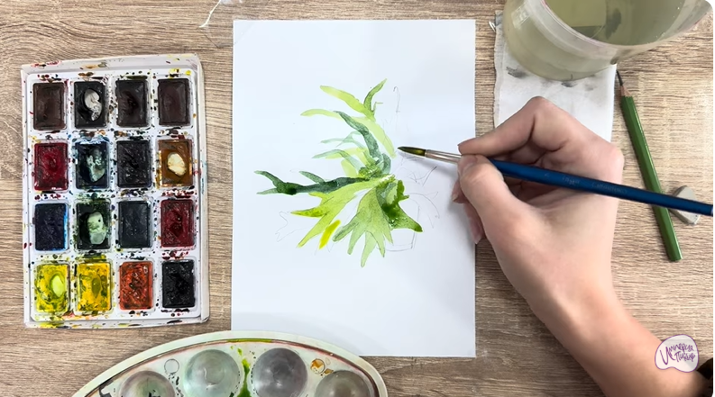 Рисуем Платицериум в горшке