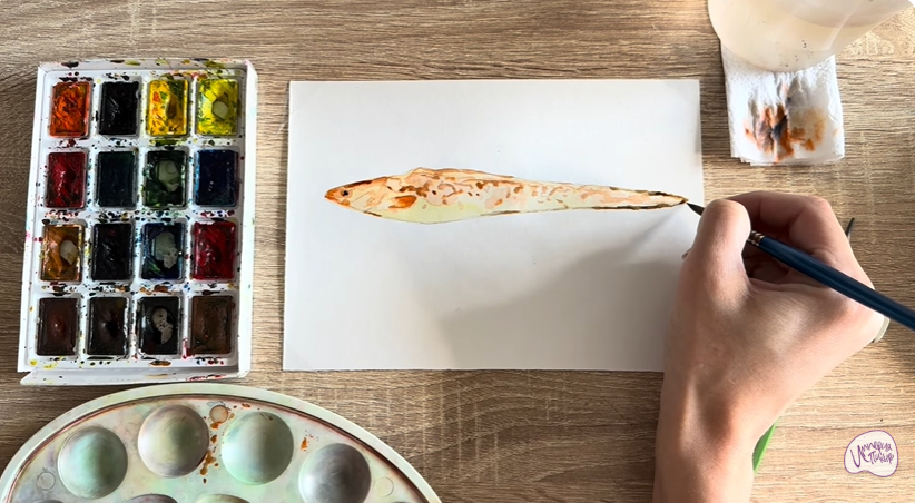 Рисуем Конгрио