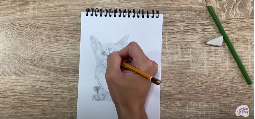 Рисуем Балинезийская кошка