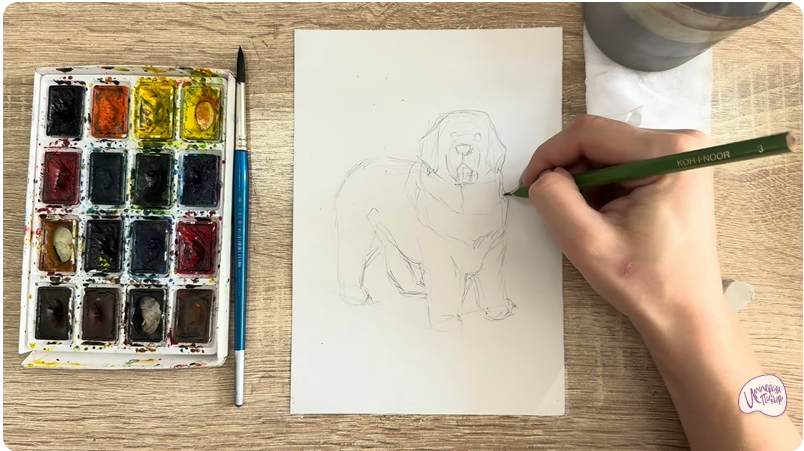 Рисуем Собака породы Ньюфаундленд