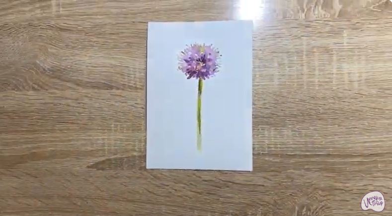 Рисуем Цветок "Аллиум"