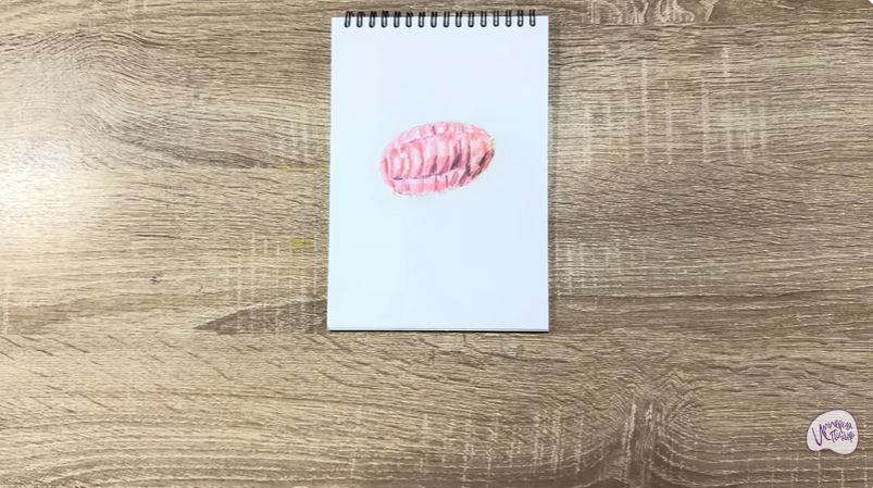 Рисуем Кошениль