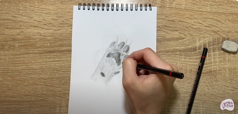 Рисуем Лапа собаки