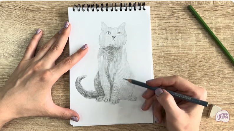 Рисуем Кот породы Шартрез