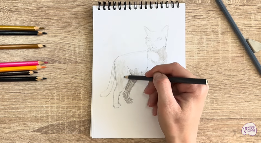 Рисуем Кошка Бурмилла