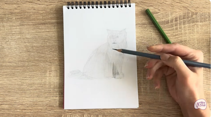 Рисуем Кошка породы Рэгдолл