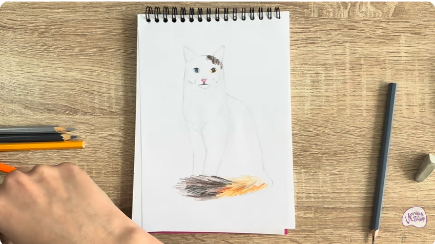 Рисуем Кот породы "Турецкий ван"