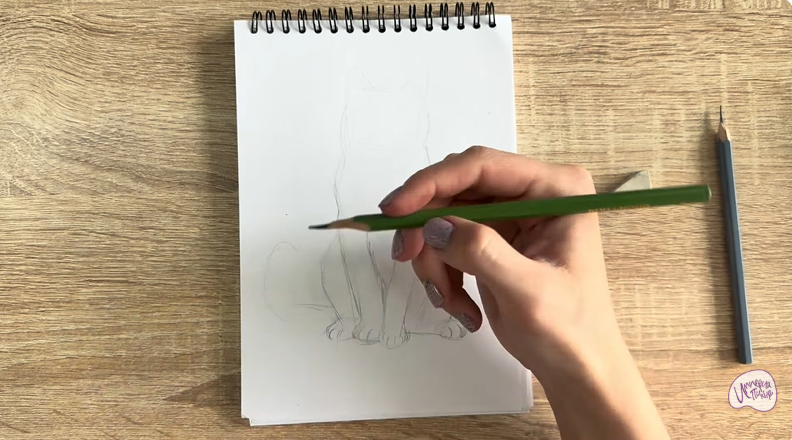 Рисуем Кот породы Шартрез