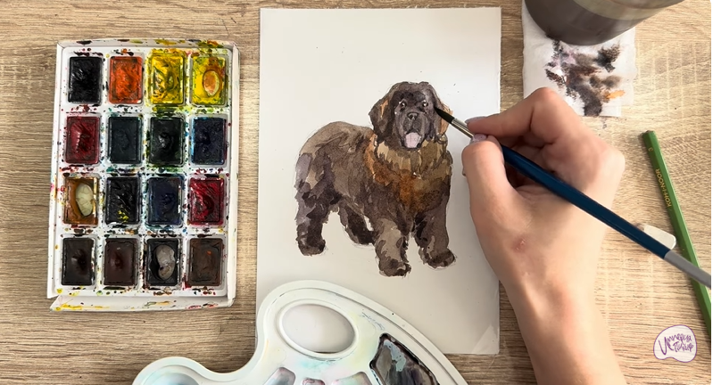 Рисуем Собака породы Ньюфаундленд