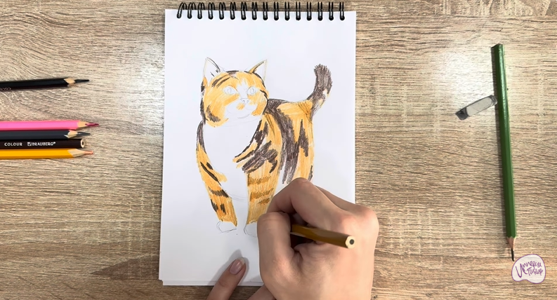 Рисуем Кошка породы "Манчкин"