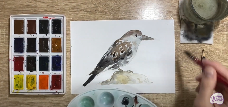 Рисуем Кедровка