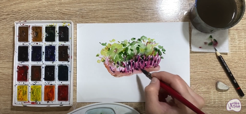 Рисуем Микрозелень