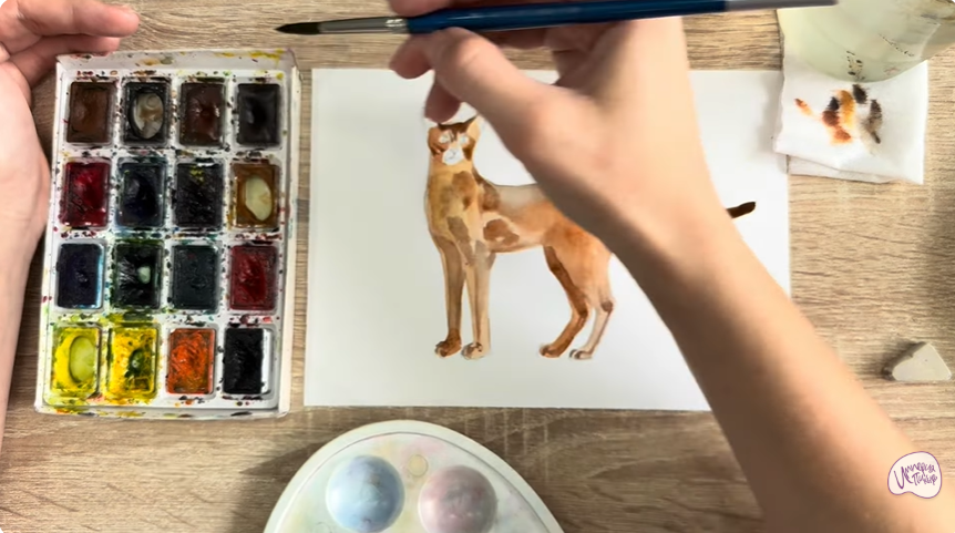 Рисуем Кошка "Чаузи"