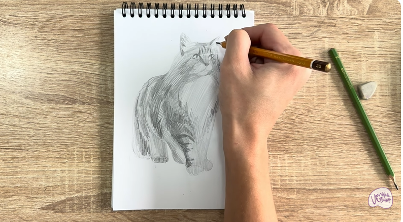 Рисуем Норвежский лесной кот