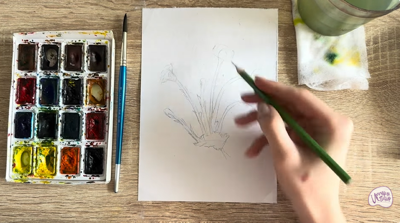 Рисуем Мать-и-мачеха