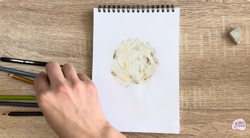Рисуем Уснея бородатая