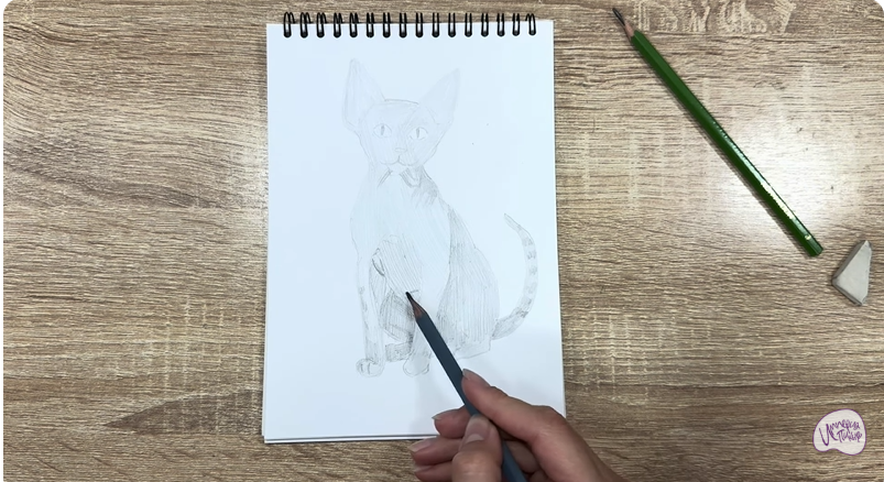 Рисуем Девон Рекс