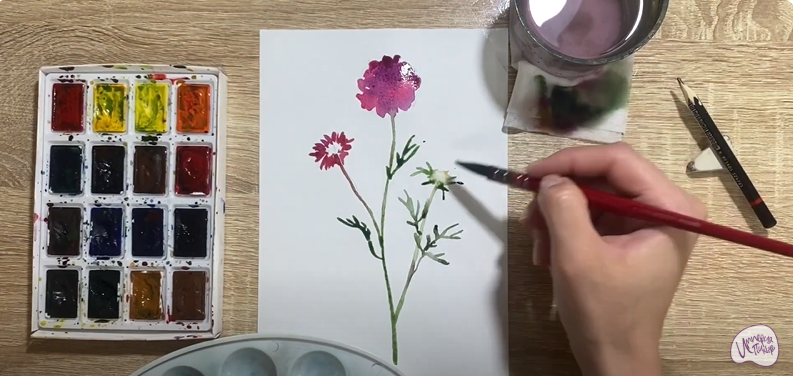 Рисуем Цветок "Скабиоза"