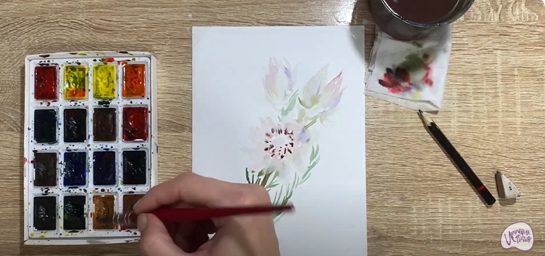Рисуем Цветок "Серрурия"