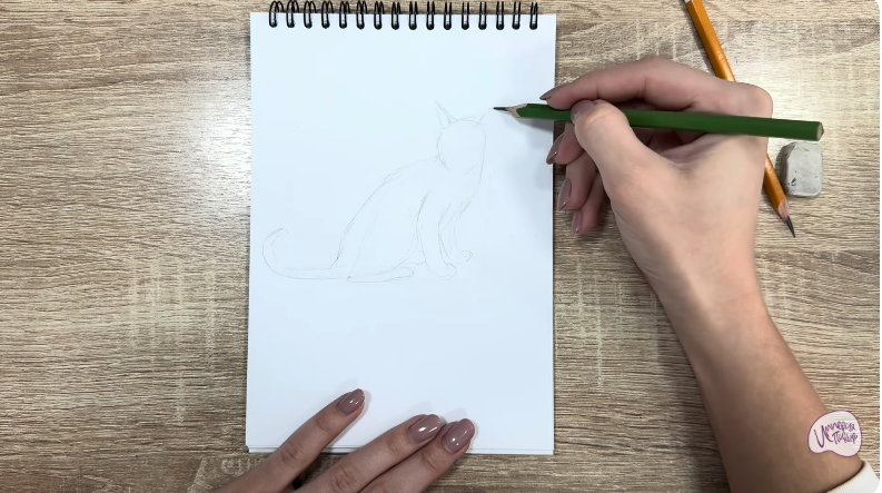 Рисуем Кот породы "Корат"