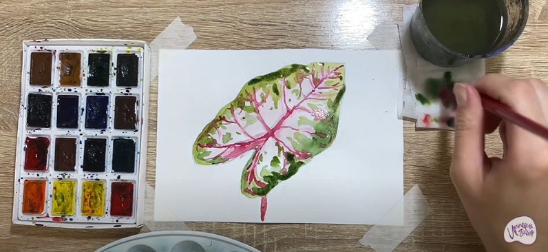 Рисуем Лист каладиума