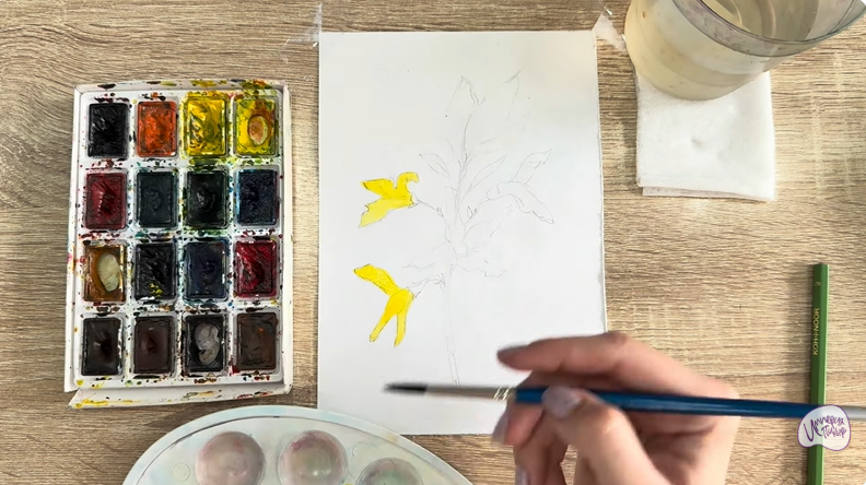 Рисуем Форзиция