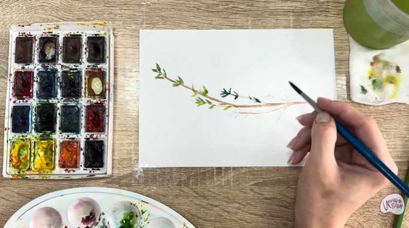 Рисуем Тимьян