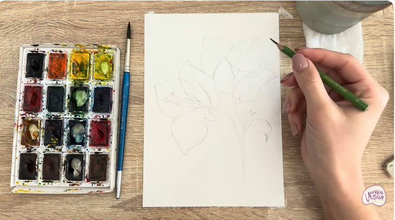 Рисуем Бугенвиллея