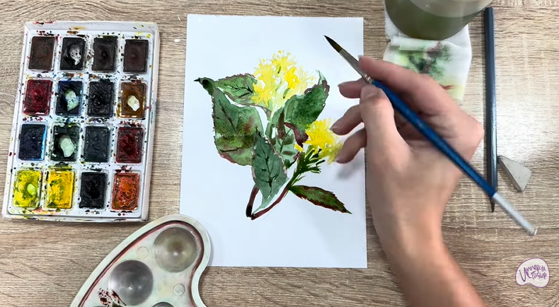 Рисуем Диервилла