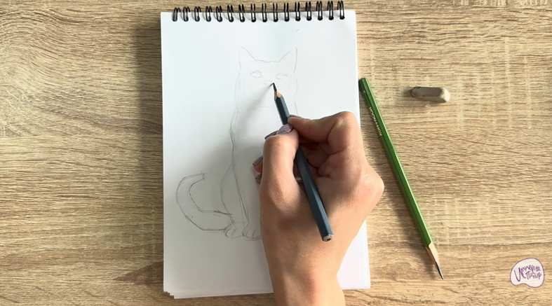 Рисуем Кот породы Шартрез