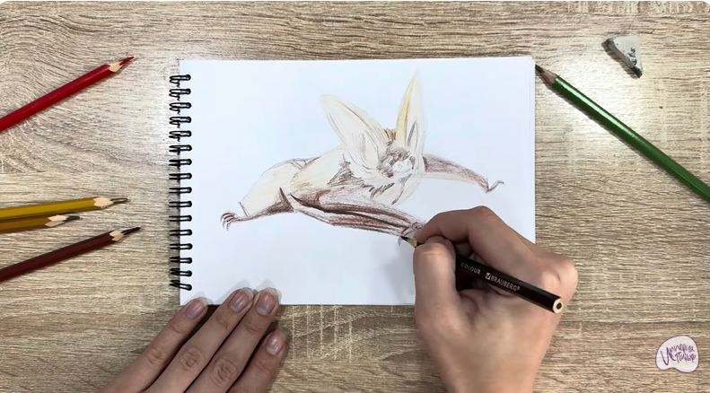 Рисуем Бурый ушан