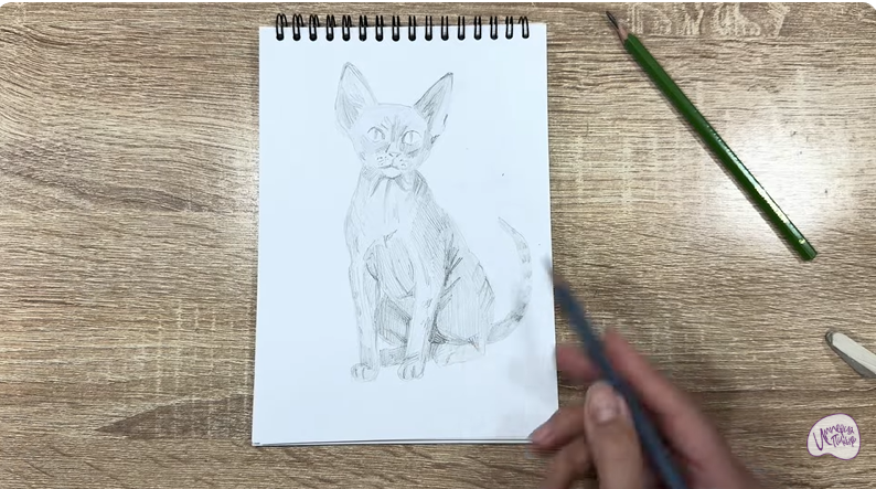 Рисуем Девон Рекс