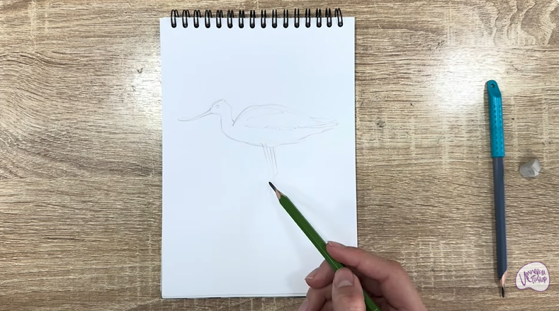 Рисуем Шилоклювка