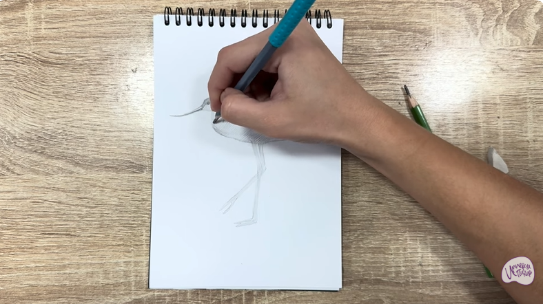 Рисуем Шилоклювка