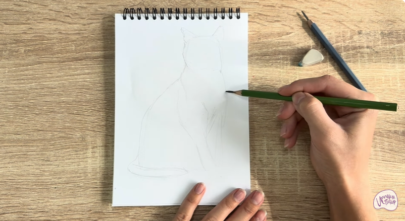 Рисуем Бурманский кот