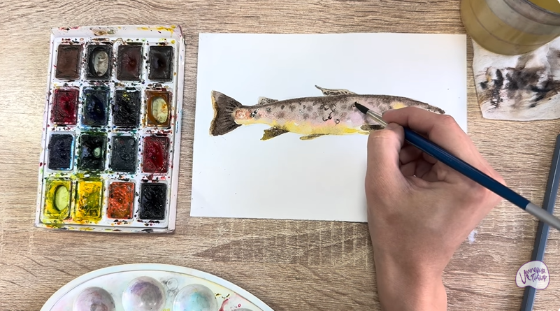 Рисуем Кумжа