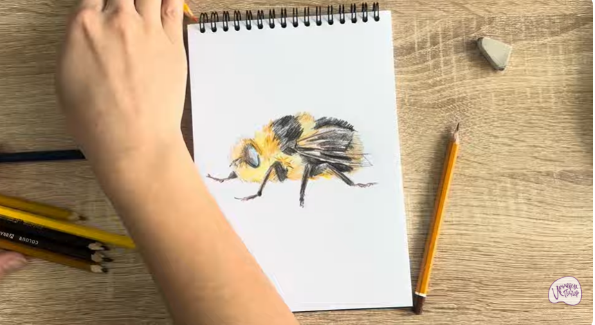 Рисуем Овод