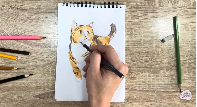 Рисуем Кошка породы "Манчкин"